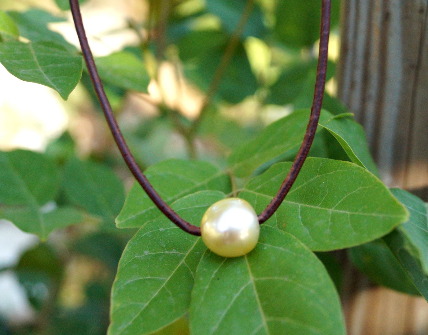 Collier ras de cou perle Australienne - Lia
